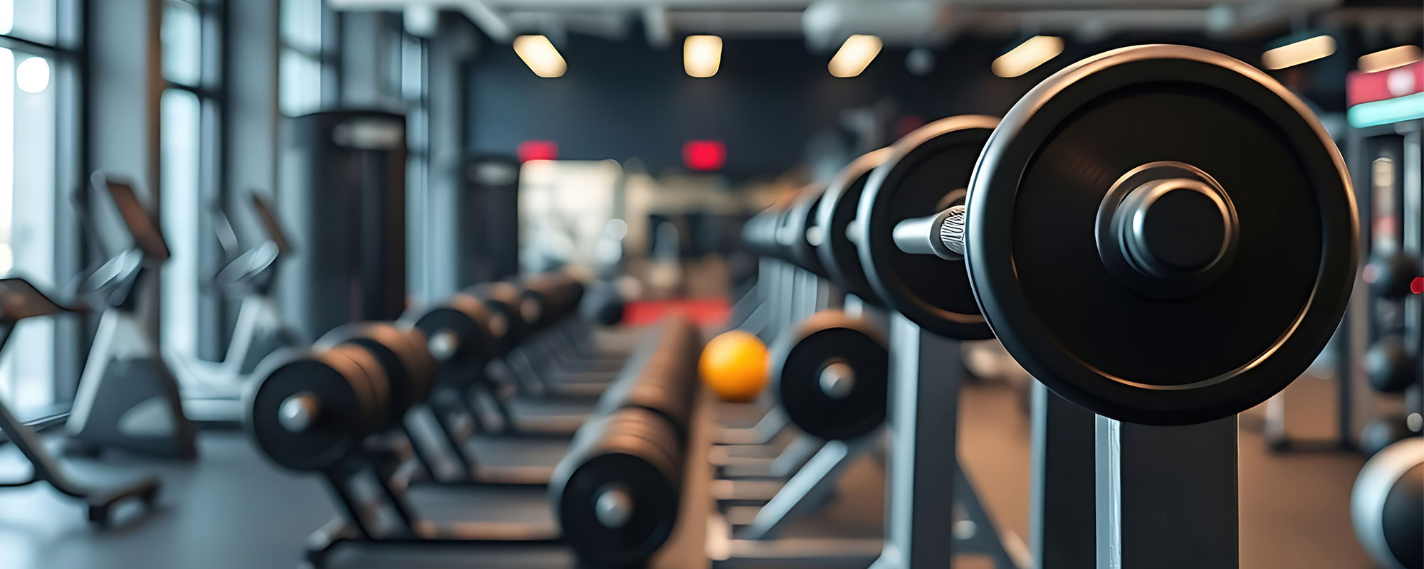 Cardio vs. Strength Training: Which Builds Better Erections?