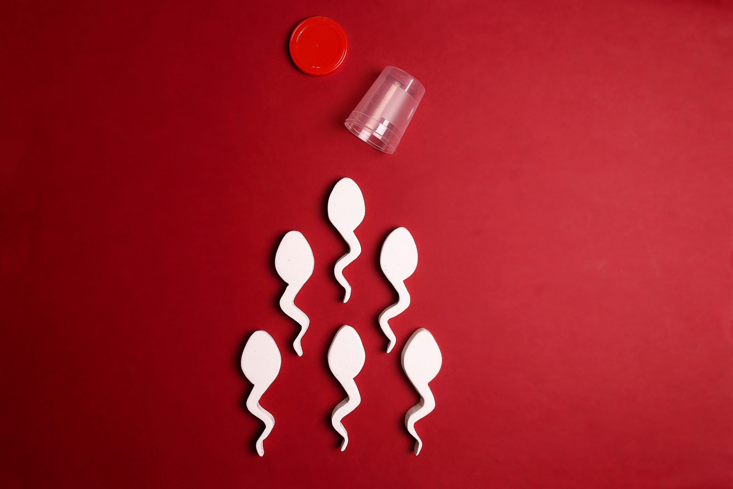 Spermatozoa,And,Sperm,Sample,Plastic,Container,On,Red,Background.,Semen